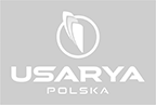 Czyste pole